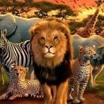 african animals