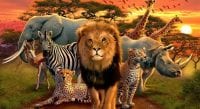 african animals